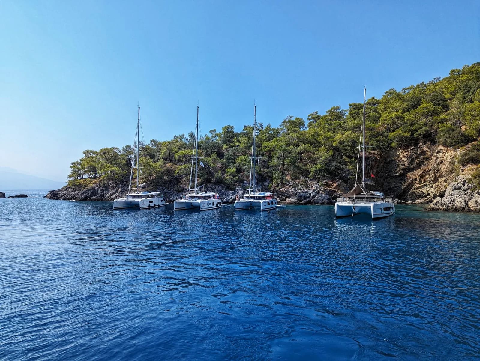 Catamarans de croisière au mouillage dans une baie calme devant une côte rocheuse couverte de pins