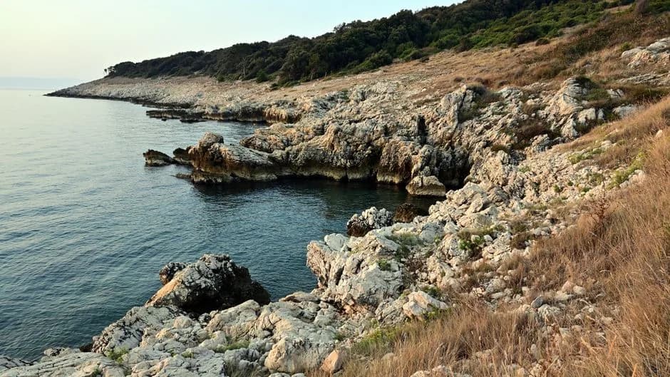Côte de calcaire blanc et végétation rase typique du littoral istrien