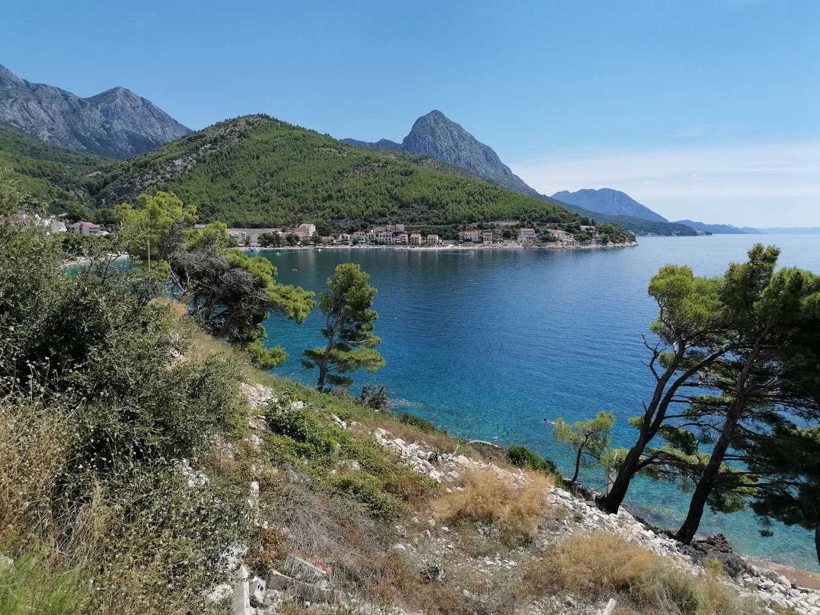 La côte de la riviera au sud de Makarska, entre pins et montagnes du Biokovo
