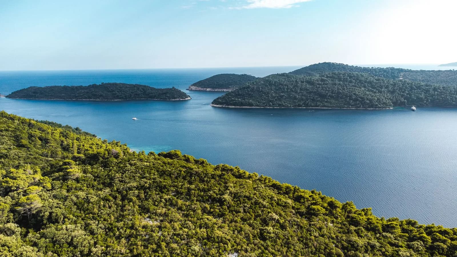 Îles boisées entourées de mer bleue dans le comté de Dubrovnik-Neretva, en Croatie