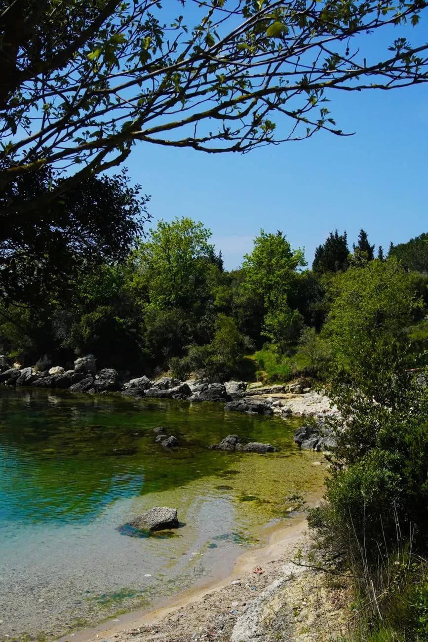 Petit lac d'eau verte entouré de rochers et de pins, comme la Mer Morte de Lokrum