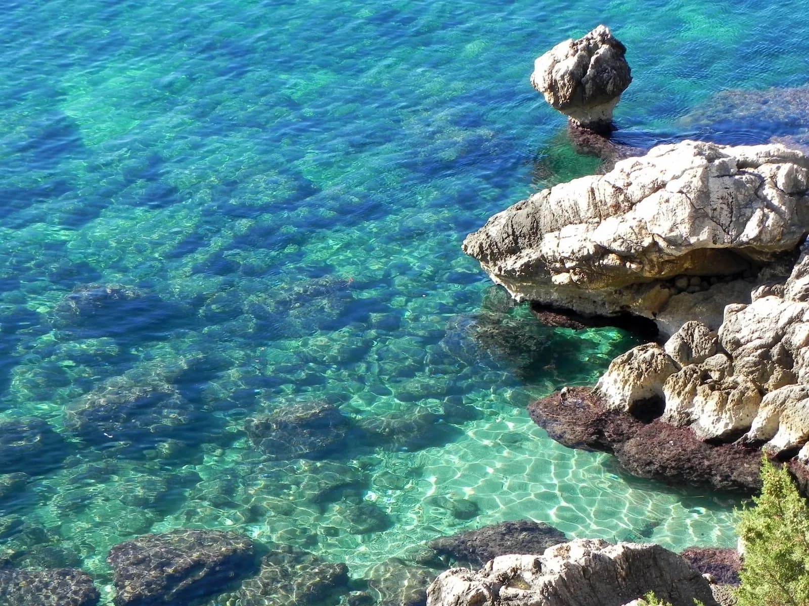 Rochers blancs et eau turquoise transparente sur la côte adriatique près de Dubrovnik