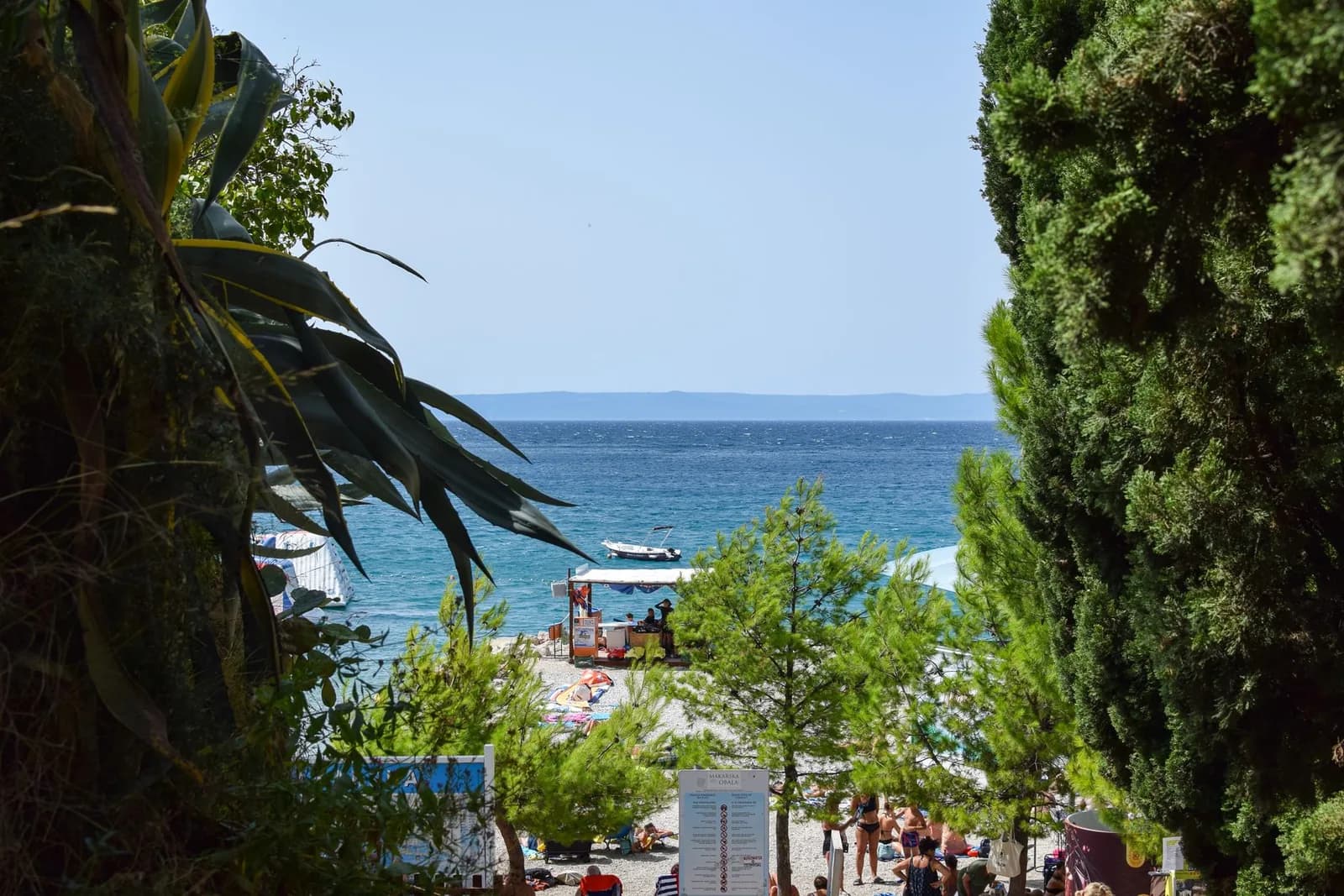 Plage de galets bordée de pins sur la riviera de Makarska