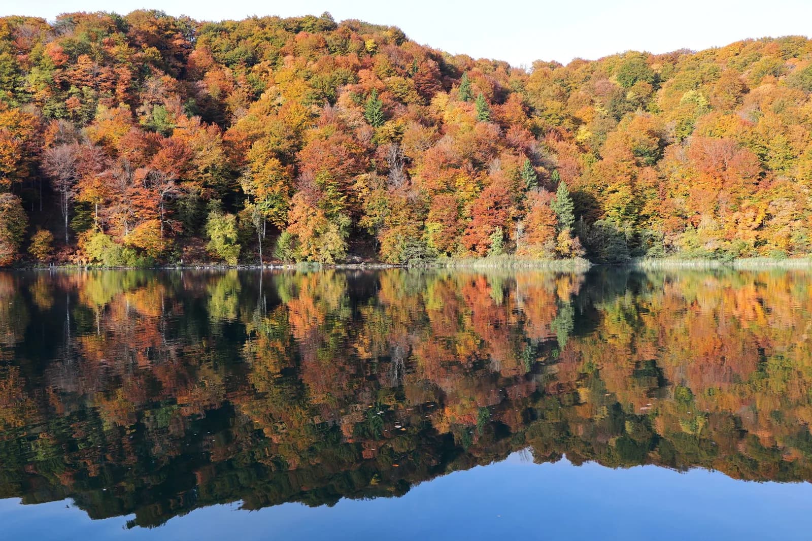 Reflets des couleurs d'automne sur un lac du parc national de Plitvice