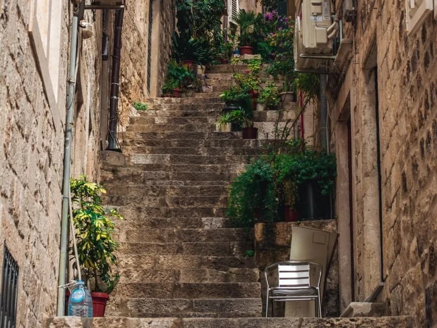 Ruelle étroite en escaliers de pierre bordée de plantes en pots dans la vieille ville de Dubrovnik