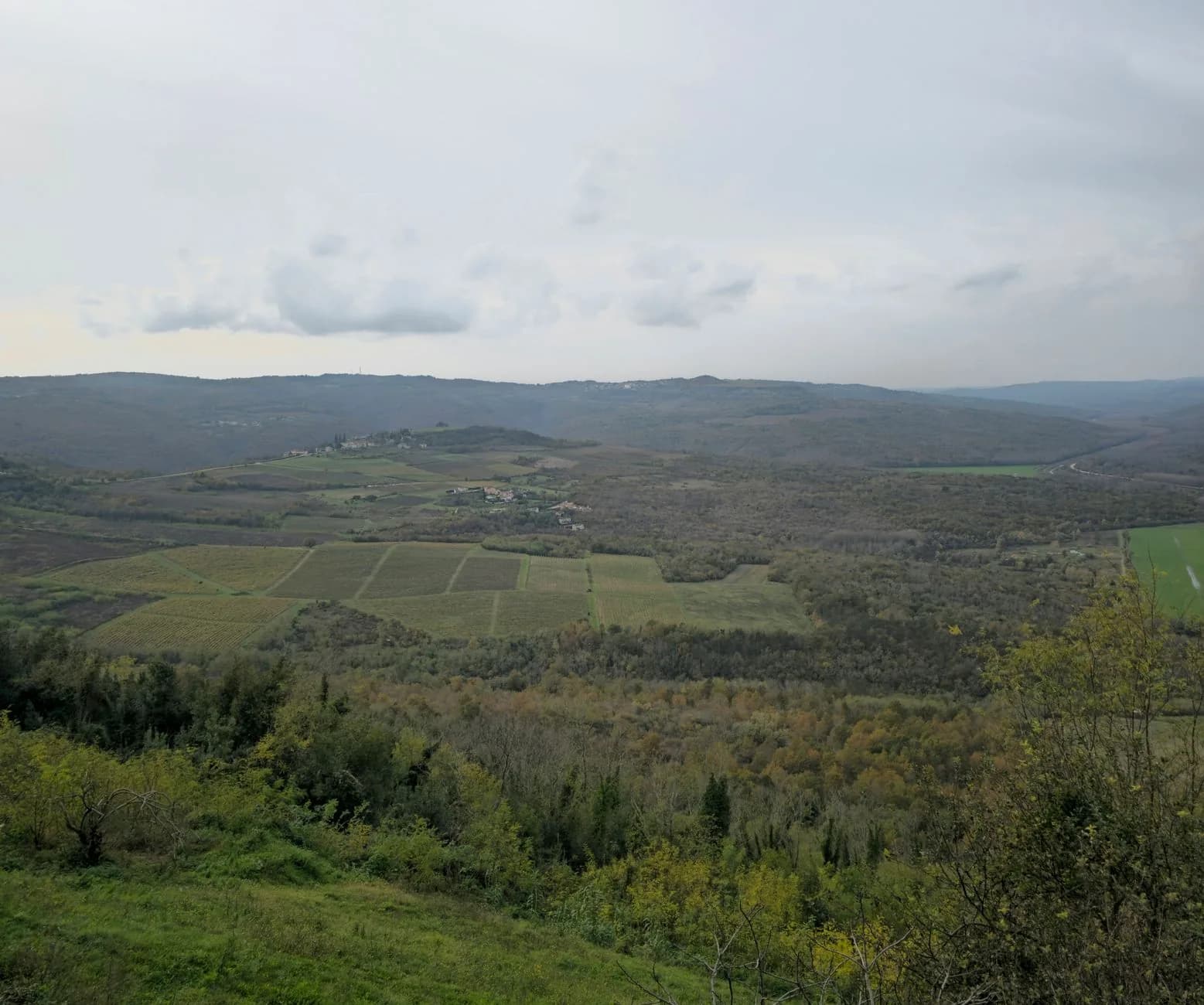 La vallée de la Mirna vue de Motovun, ses vignes et la forêt à truffes sous un ciel d'automne, en Istrie